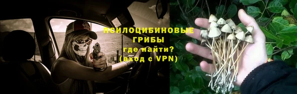 ECSTASY Алексеевка