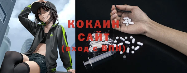 крисы Алексин