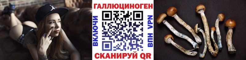 Галлюциногенные грибы Psilocybe  Купить  Чегем 
